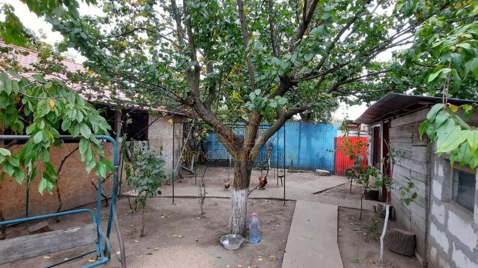 Gospodarie rustica, completa si accesibila în Cobadin - Poză 18