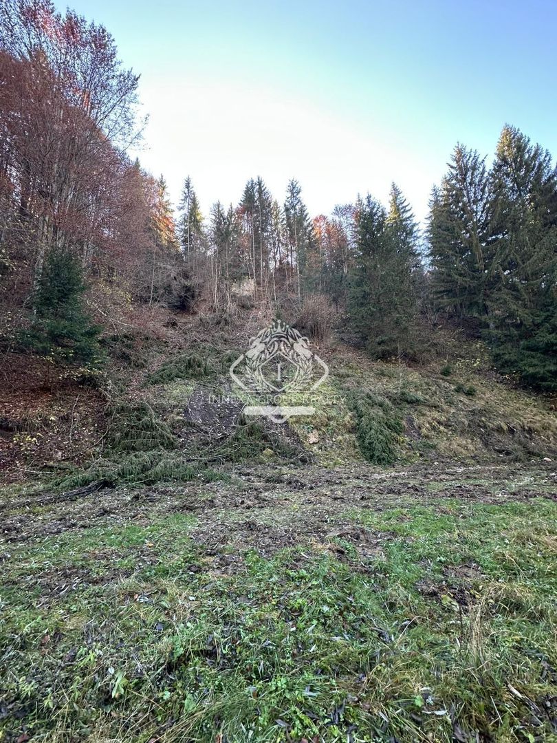 Teren 2.882 mp – oportunitate investitie - Cheile Dâmbovicioarei - Poză 4