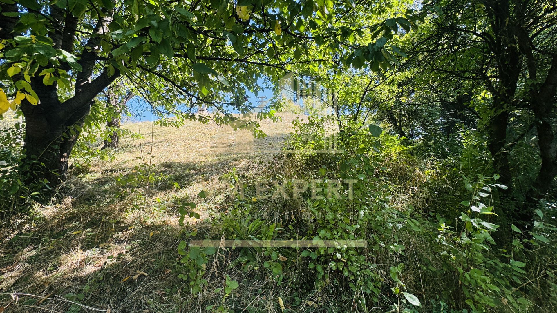 TEREN INTRAVILAN 3234 MP LEREȘTI VOINEȘTI ARGEȘ - Poză 20