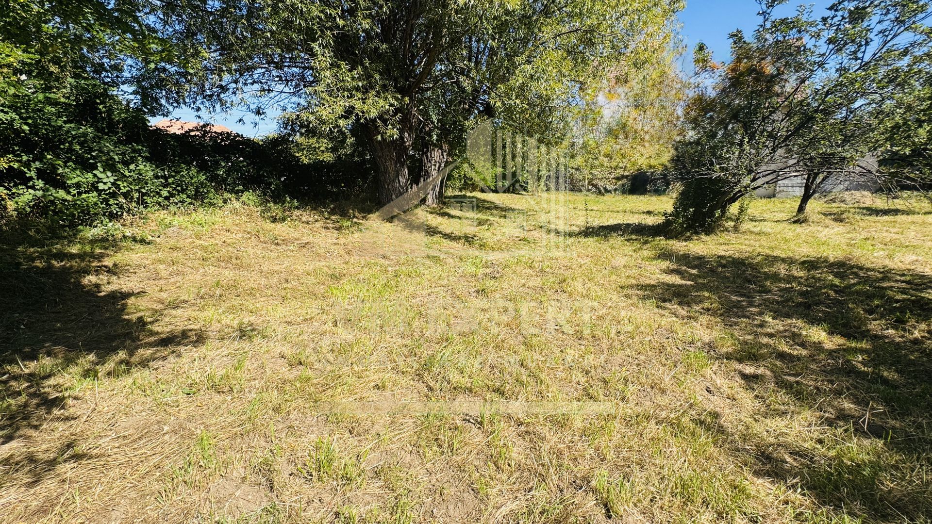 TEREN INTRAVILAN 3234 MP LEREȘTI VOINEȘTI ARGEȘ - Poză 14