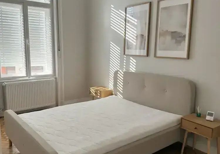 Piata-Maria | 2 Camere | Amenajat Modern - Poză 3