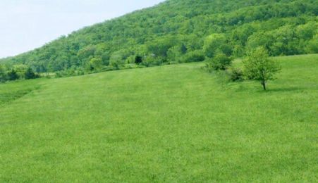 ​Oportunitate Investiție: Teren Intravilan 4.100 mp – Viișoara