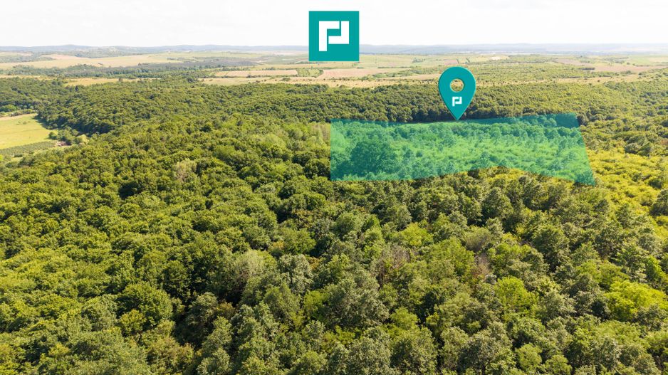 TEREN AGRICOL EXTRAVILAN  22.900 MP LIPOVA - Poză 1