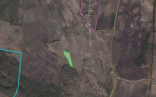 Teren Agricol Țânțăreni - Poză 2