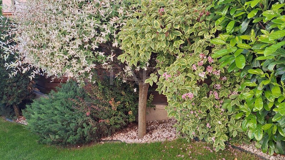 Casa deosebita, Gheorgheni-zona Iulius Mall - Poză 25