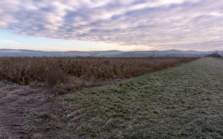 5.000 mp, teren extravilan, conditii apreciabile, Bod, Brasov - Poză 2
