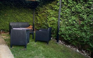 Vanzare 2 camere | gradina 28mp | parcare inclusa – Buna Ziua! - Poză 8