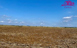 Teren pentru investitii zona Grigorescu - Poză 2