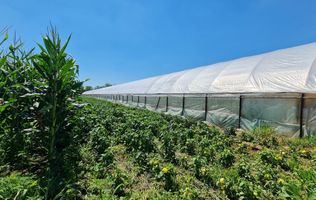 Afacere la cheie! Incasari din prima zi!!!