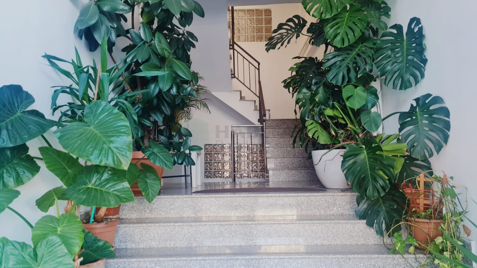 Apartament 3 camere Jiului + 4 locuri parcare - Poză 10