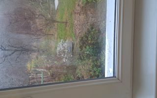 Inchiriez apartament cu 1 camera în Copou - Poză 1