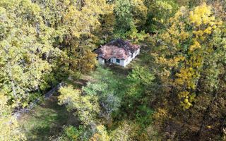 TEREN INTRAVILAN ÎN PĂDURE LA VĂRBILA - PRAHOVA – COMISION 0% - Poză 2