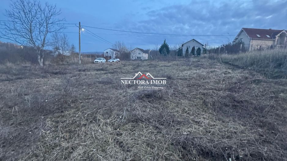 NECTORA IMOB-Teren Intravilan 647 mp, Dublu Front, Paleu, cu Utilitati - Poză 4