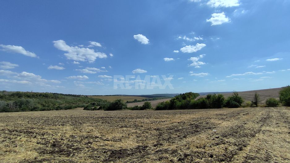 Lot agricol Budești, Mun. Chișinău - Poză 4