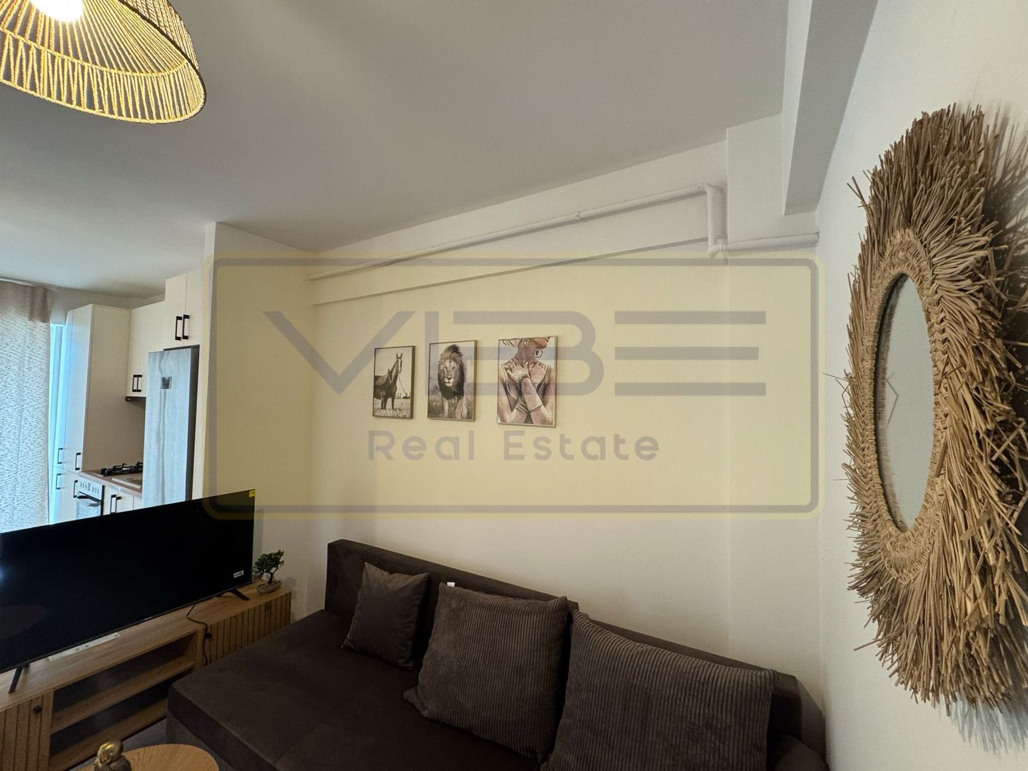 Apartament NOU 2 camere open-space Bucium  Visani - Poză 10