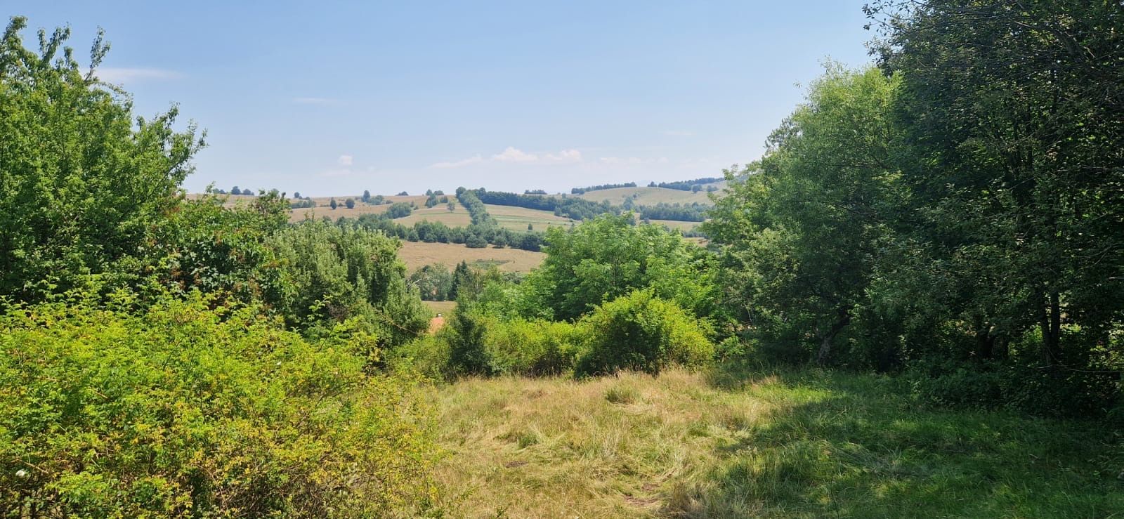 Teren intravilan 4.568 mp, 2 fronturi – Brebu Nou, Caraș-Severin - Poză 2