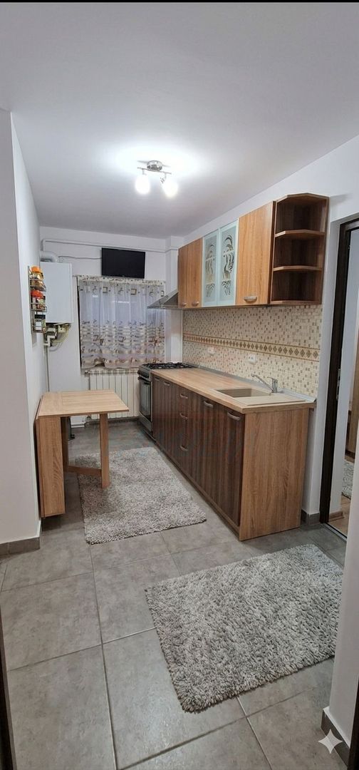 Inchiriere apartament 1 camera in Ireg, 28 mp, 1500 Lei/Luna - Poză 3