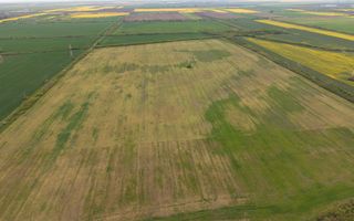 Teren investițional strategic 44.700 mp Arad Vest - Poză 9