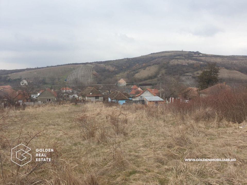 Teren intravilan 3841 mp, situat central, Covasint - Poză 1