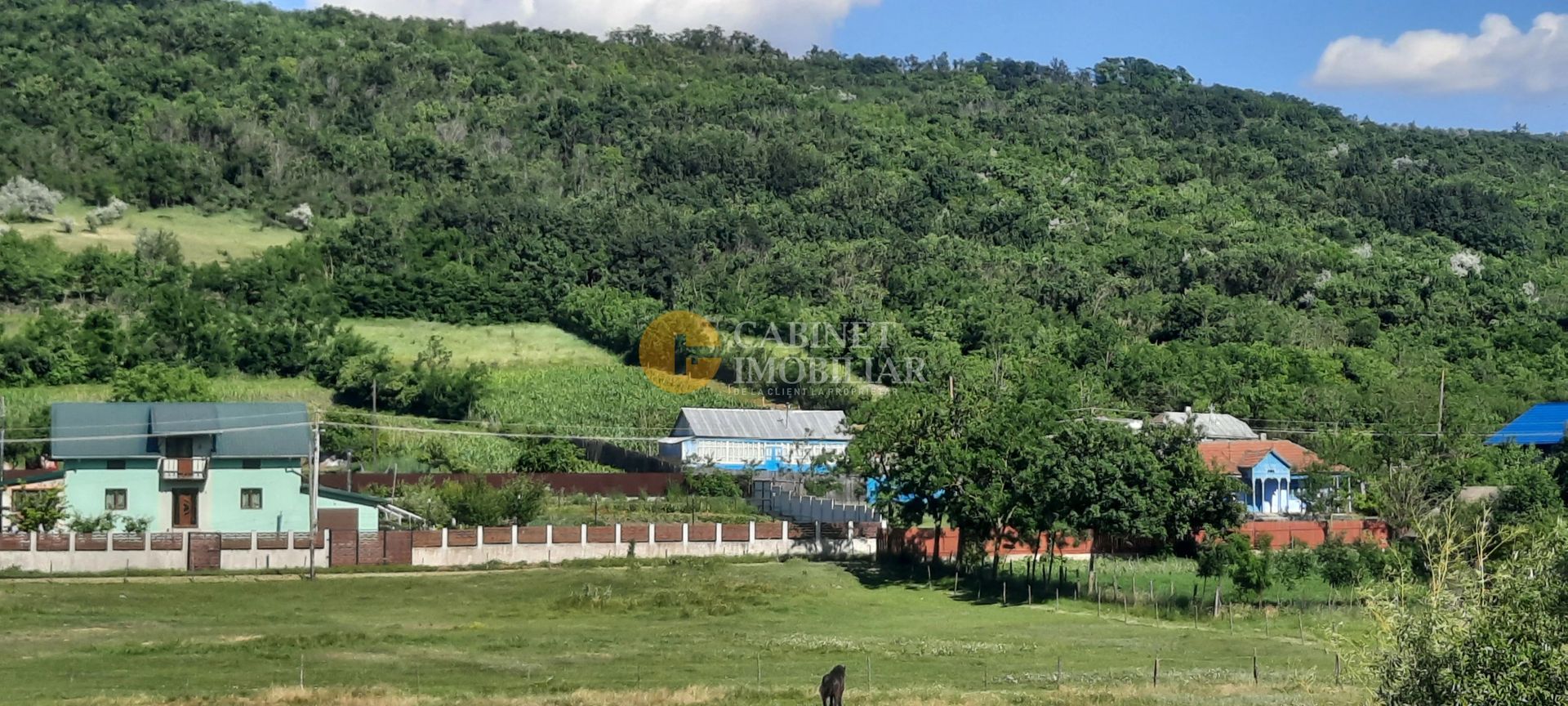 Casă / Vilă cu 2 camere de vânzare în Totoesti - Poză 1