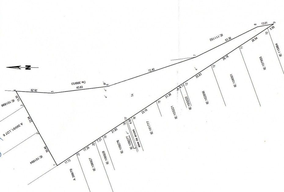 Teren Intravilan 5.000 mp – Perfect pentru Parc Fotovoltaic, Hale sau Lotizare - Poză 2