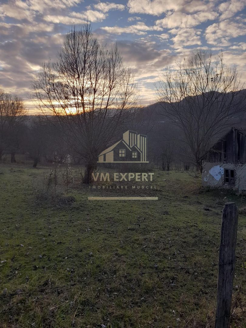 TEREN INTRAVILAN 5461 MP, BUGHEA DE JOS, ARGES - Poză 6
