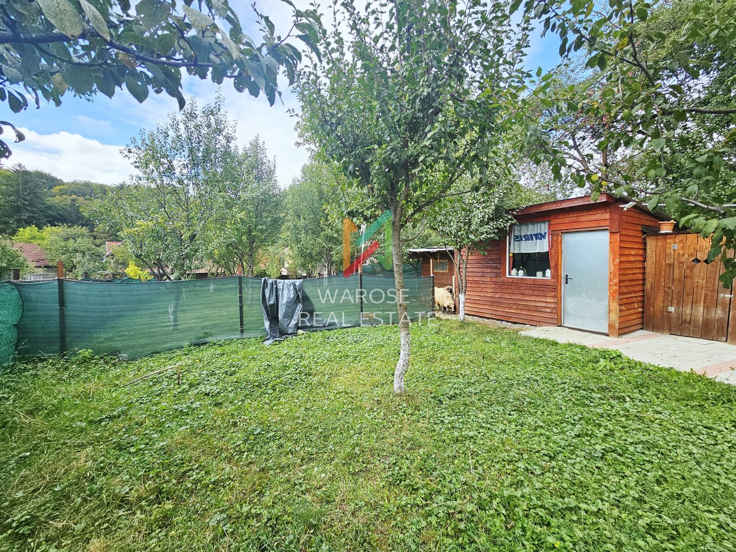 Casa | Foisor | Livada | Teren 2000 mp | Zizin | Brasov - Poză 17