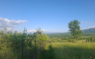 Teren intravilan 809 mp cu deschidere 14 m în Tropinii Noi - Poză 4