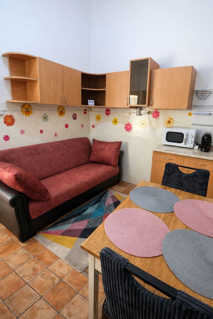 Apartament 1 Camera De Inchiriat | Ultracentral | Piata Unirii | UMF - Poză 3