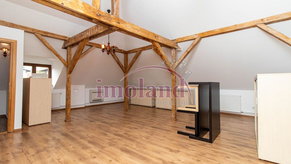 Inchiriere - Rezidenta/Birouri - Vila cu curte - Aviatorilor - Poză 30