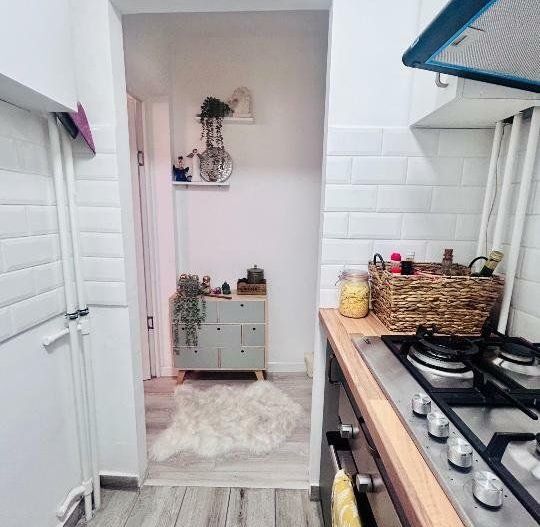 APARTAMENT LUX | TEIUL DOAMNEI - Poză 5