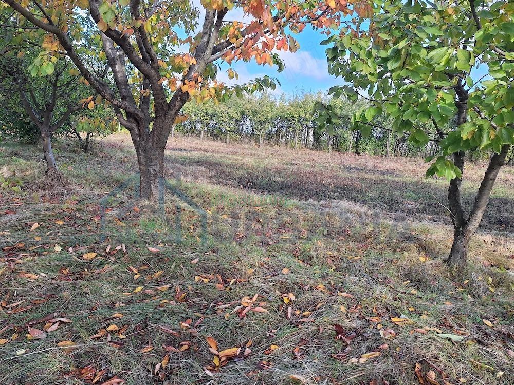 Terenuri intravilane în Horlești-Rediu, Iași, zone rezidențiale - Poză 1