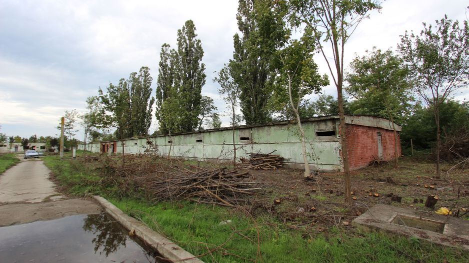 Vanzare hale Mosnita Noua-fosta Ferma 7 - Poză 46