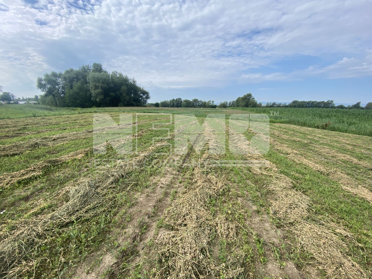 Teren Extravilan | 23 Ari | Satu Mare - Poză 3