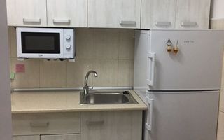 STUDIO TEIUL DOAMNEI | FACULTATEA DE CONSTRUCTII - Poză 3