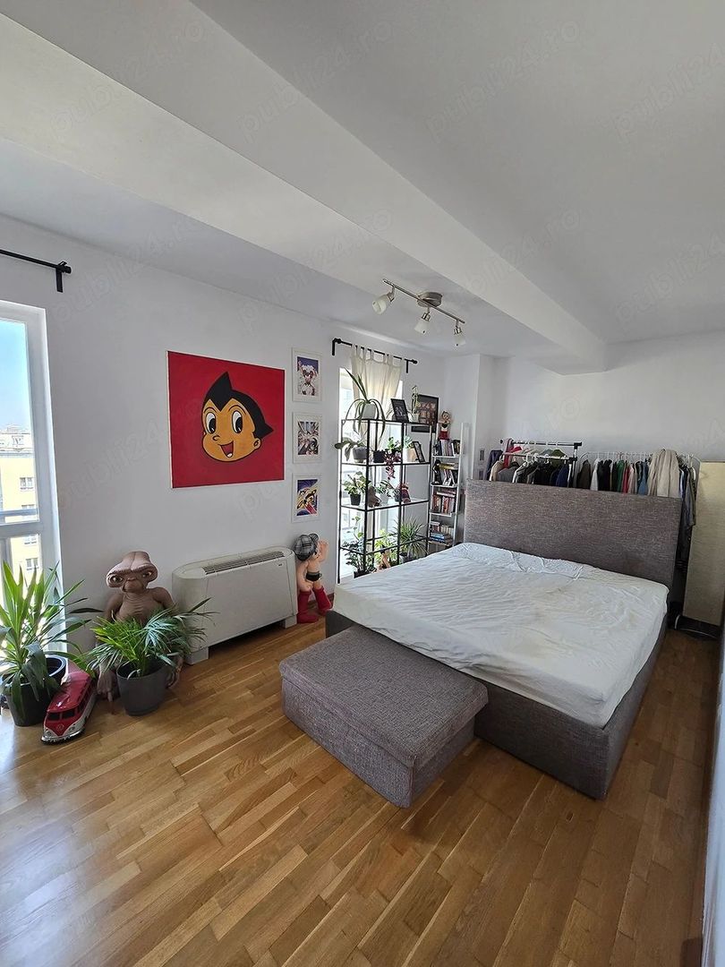 Apartament Calea Călărașilor // Decebal - Poză 3