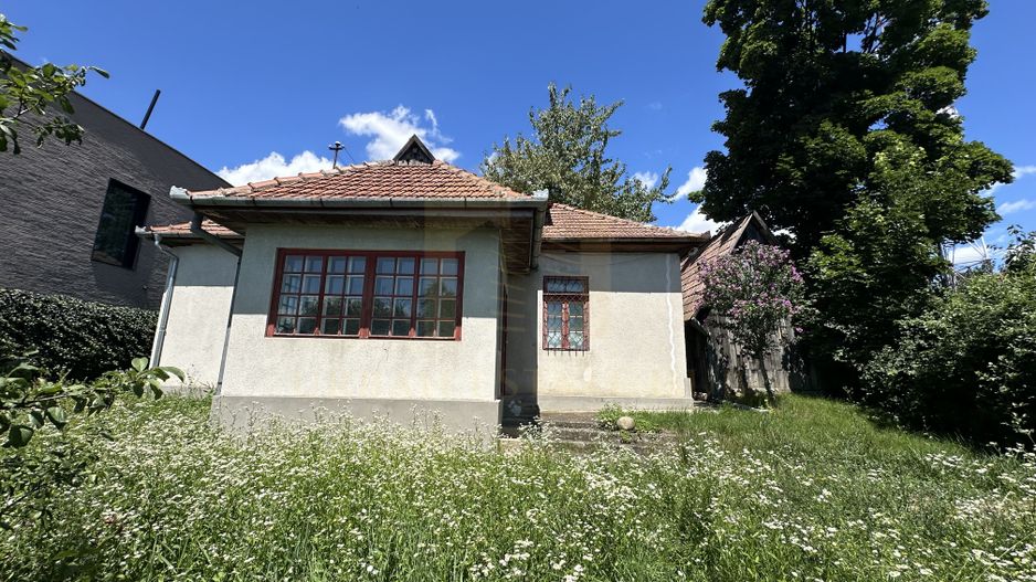 Vanzare teren 2387 mp, front 17,3 ml, Serpuitoare , Gruia - Poză 2