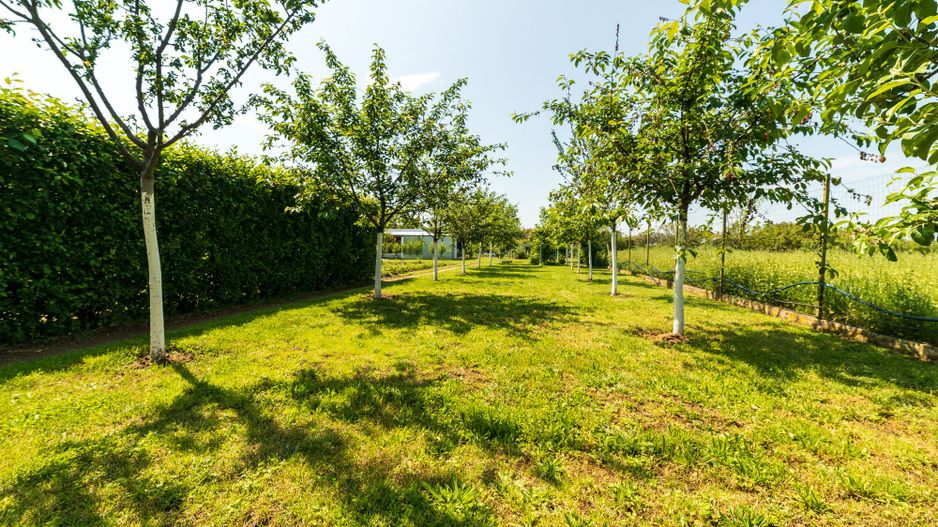 Nou! Casă frumoasă în Sâmbăteni - Poză 24