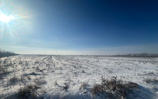 Teren Extravilan | 52 ari | Maneuti | Front 26 m | 55.500 € - Poză 1