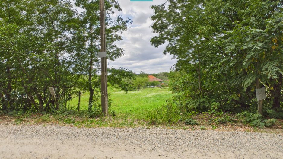 Teren intravilan, 818 mp, Gh. Doja langa padure - Poză 5