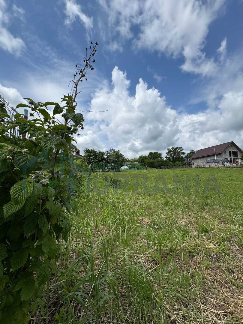Teren intravilan 1797 mp în Dobrovăț (Ruși), lângă pădure, cu utilități și amenajări existente - Poză 6