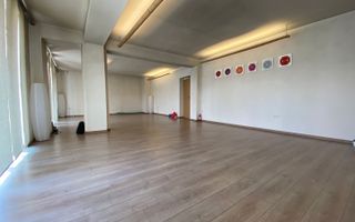 Casa In Dumbravita pretabila birouri sau alte activitati - Poză 2