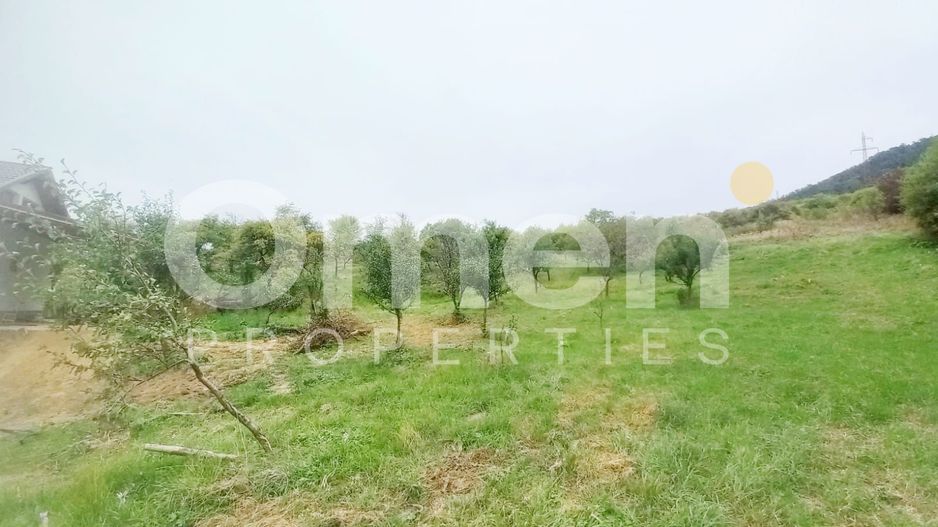 Teren 58 arii cu deschidere la drumul principal – Miron Costin - Poză 4