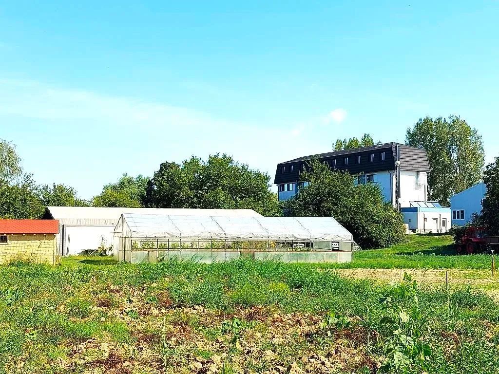 Oportunitate de investitie| Delta Dunarii |Mila 23| pensiune activa - Poză 20