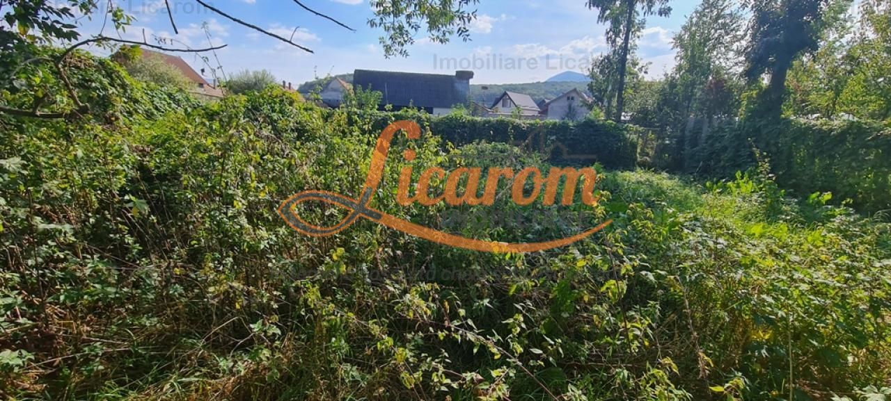 Casa individuala cu 3 camere,CODLEA - DUMBRAVITA ,65000 euro - Poză 9