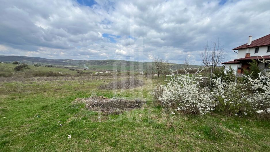 Terenuri de vânzare – Investiție cu potențial în Daia Nouă! - Poză 5