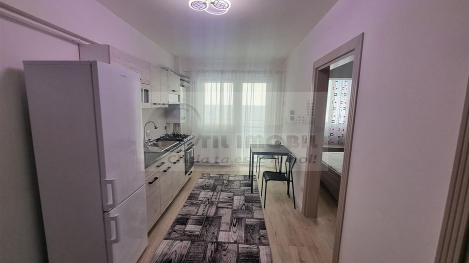 Apartament 1 camera Bucium-300Euro - Poză 6