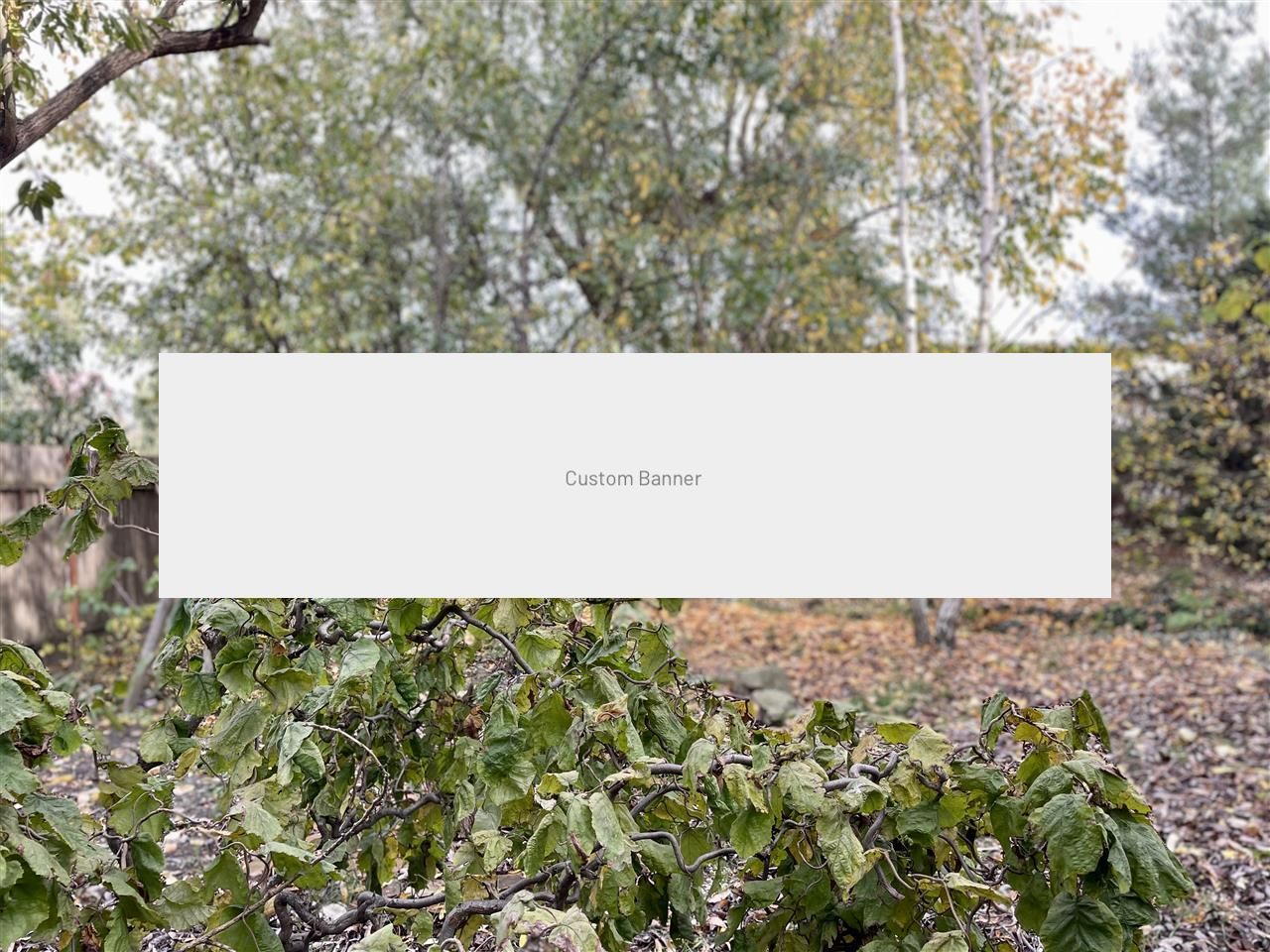 Casa individuala deosebita cu 4 camere P+M zona Ciarda Rosie Timisoara - Poză 14