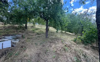 Casa cu 3 camere, 2300mp teren, zona SubPadure - Poză 16