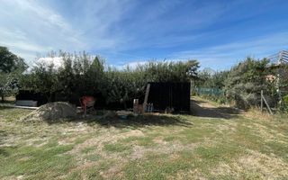 CASA CU 11 ARI TEREN - DRUM PRIVAT - LIVADA - Poză 15